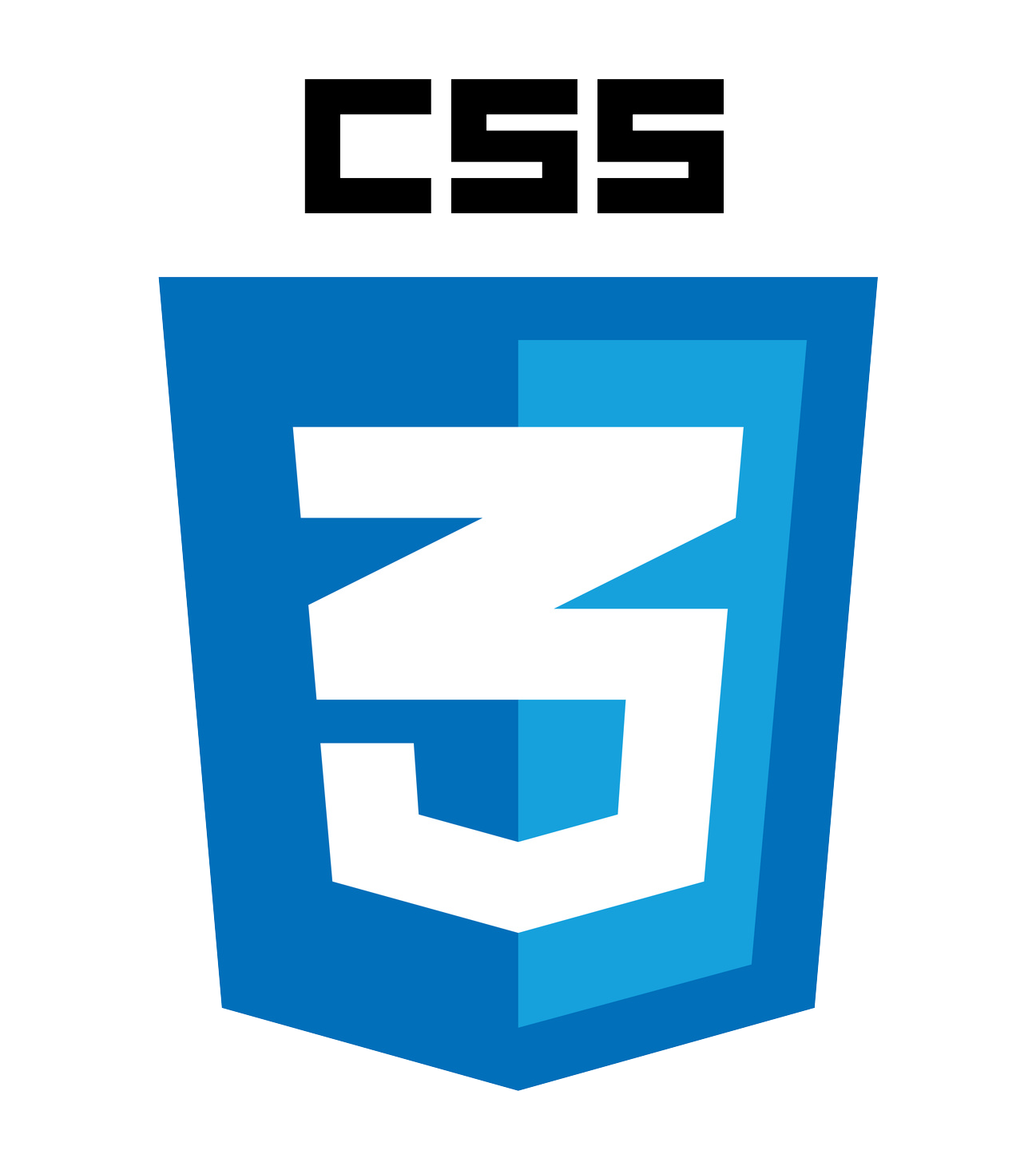 css logo